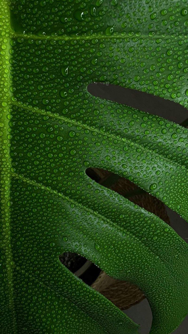 LuftRein Pro GmbH - Image 4