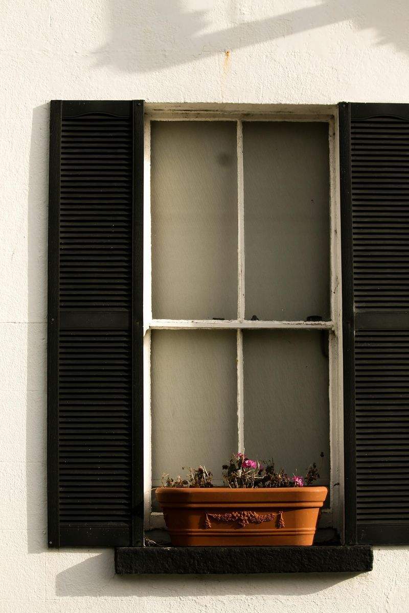 LuftRein Pro GmbH - Image 5